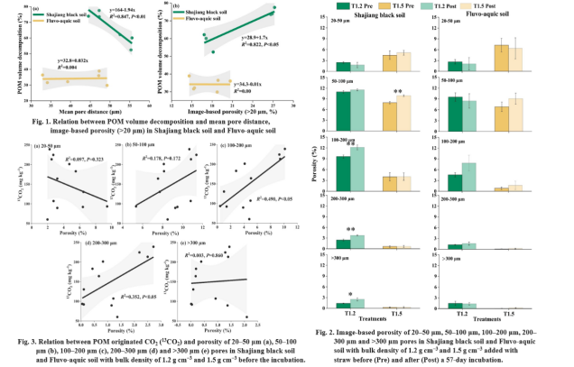 IARRP team elucidates feedback interaction between soil particle organic matter decomposition and soil pore structure to control land degradation and enhance soil fertility