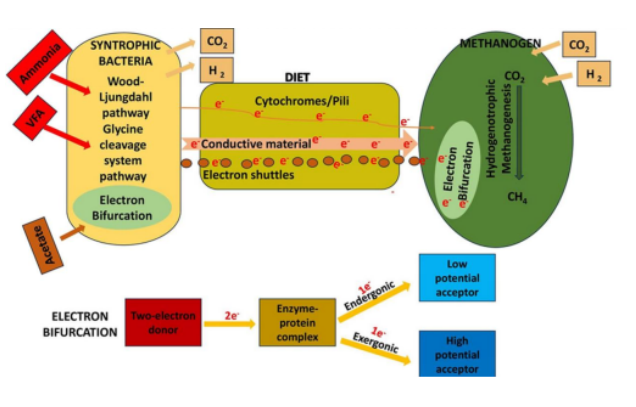 IARRP team reviews coupling electron bifurcation and interspecies electron transfer to alleviate anaerobic digestion inhibition