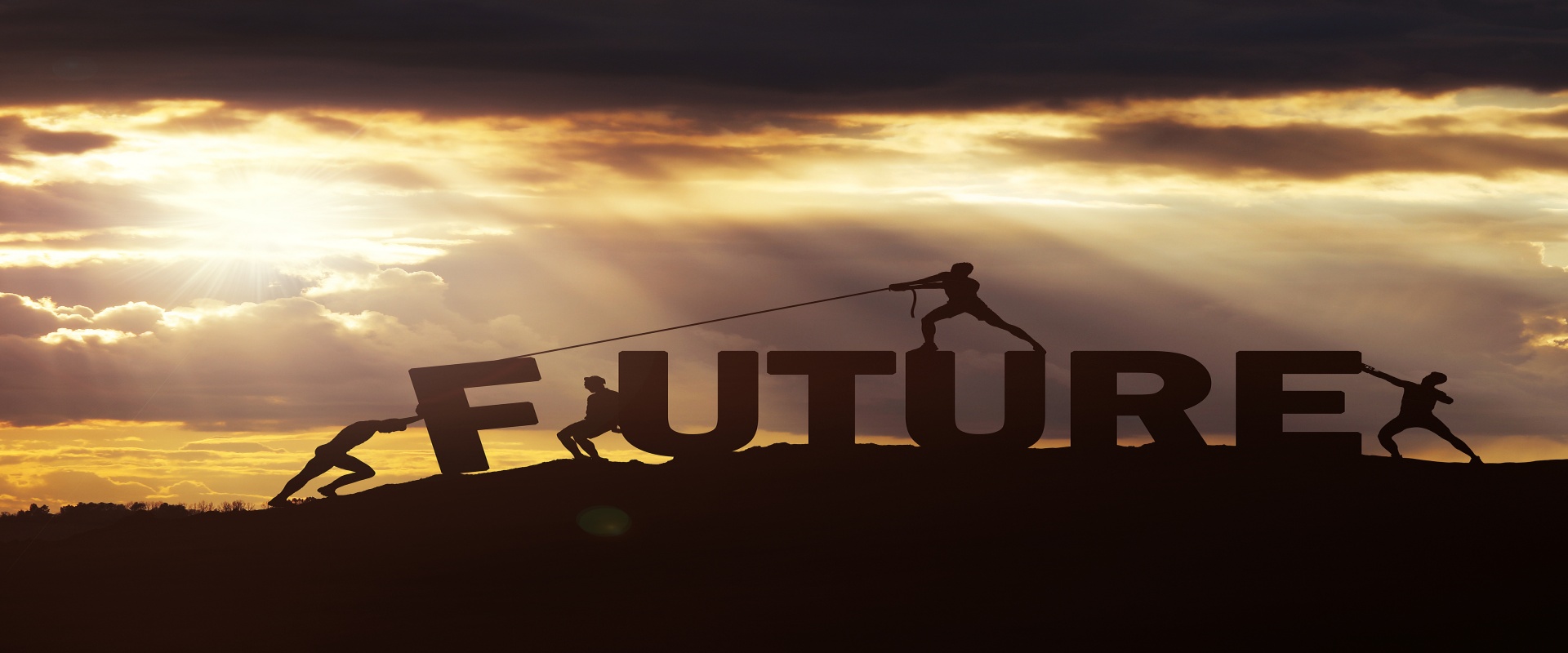 IARRP strengthens scientific collaboration with IIASA