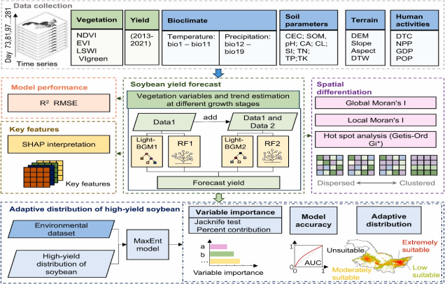 CAAS develops productivity-oriented method for soybean suitability assessment